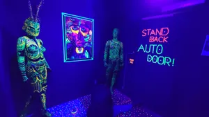 Gallery image 5