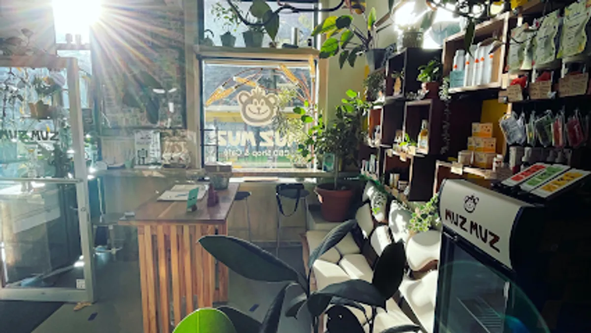 Cozy interior of Muz Muz Shop & Café filled with green plants and wooden furniture