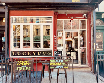 Lucky Dog